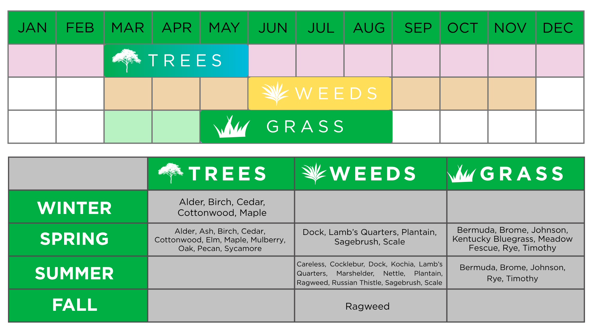 Seasonal allergy chart detailing pollen types by time of year